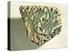 Ceramic Fragment Depicting Calf Running Among Papyrus Plants-null-Stretched Canvas