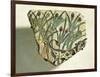 Ceramic Fragment Depicting Calf Running Among Papyrus Plants-null-Framed Giclee Print