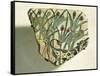 Ceramic Fragment Depicting Calf Running Among Papyrus Plants-null-Framed Stretched Canvas