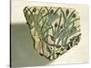Ceramic Fragment Depicting Calf Running Among Papyrus Plants-null-Stretched Canvas