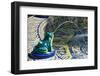 Ceramic Frog Spitting Out Water, Frogs Fountain, Maria Luisa Park, Seville, Andalusia, Spain-Guy Thouvenin-Framed Photographic Print