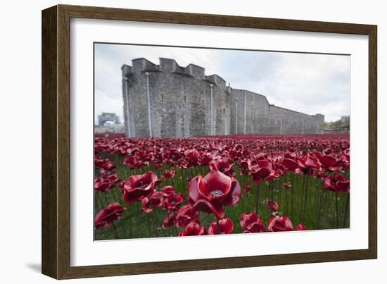 Ceramic poppies at the Tower of London-Associated Newspapers-Framed Photo