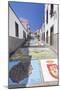 Ceramic Tiles Showing Parts of the Canary Islands-Markus Lange-Mounted Photographic Print