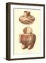 Ceramics from Mississippi Valley-null-Framed Art Print