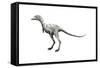 Ceratonykus Dinosaur-null-Framed Stretched Canvas