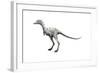 Ceratonykus Dinosaur-null-Framed Art Print