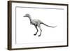 Ceratonykus Dinosaur-null-Framed Art Print