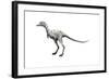 Ceratonykus Dinosaur-null-Framed Art Print