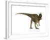 Ceratosaurus Dinosaur from the Jurassic Period-null-Framed Art Print