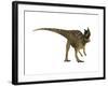 Ceratosaurus Dinosaur from the Jurassic Period-null-Framed Art Print