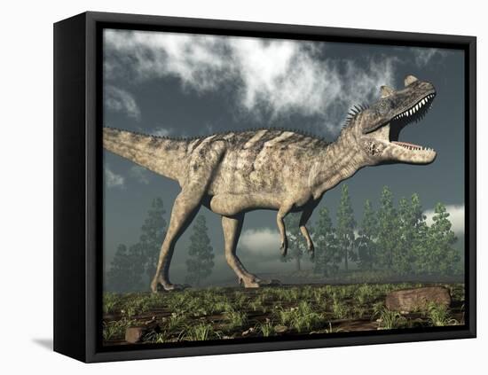 Ceratosaurus Dinosaur Roaring-Stocktrek Images-Framed Stretched Canvas