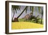 Ceratosaurus Hunting in a Field-null-Framed Art Print