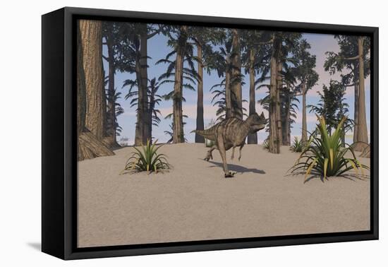 Ceratosaurus Hunting in a Prehistoric Environment-null-Framed Stretched Canvas