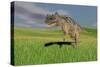 Ceratosaurus Hunting in Prehistoric Grasslands-null-Stretched Canvas