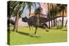 Ceratosaurus Running across a Field-null-Stretched Canvas