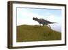 Ceratosaurus Running across a Grassy Field-null-Framed Art Print