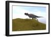 Ceratosaurus Running across a Grassy Field-null-Framed Art Print