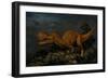 Ceratosaurus Was a Large Predatory Dinosaur from the Late Jurassic Period-null-Framed Art Print