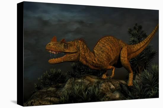 Ceratosaurus Was a Large Predatory Dinosaur from the Late Jurassic Period-null-Stretched Canvas