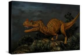Ceratosaurus Was a Large Predatory Dinosaur from the Late Jurassic Period-null-Stretched Canvas