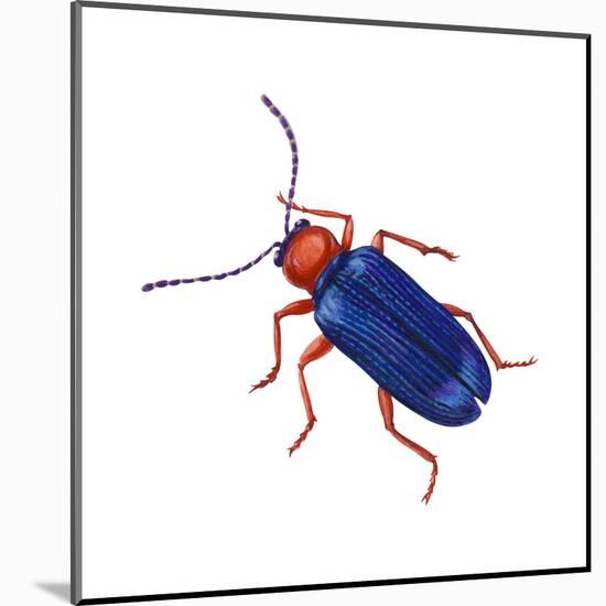 Cereal-Leaf Beetle (Lema Melanopa), Insects-Encyclopaedia Britannica-Mounted Poster