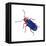 Cereal-Leaf Beetle (Lema Melanopa), Insects-Encyclopaedia Britannica-Framed Stretched Canvas