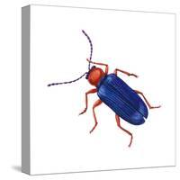 Cereal-Leaf Beetle (Lema Melanopa), Insects-Encyclopaedia Britannica-Stretched Canvas