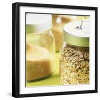 Cereals in Storage Jars-Barbara Bonisolli-Framed Photographic Print