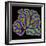 Cerebellum Structure, Light Micrograph-Thomas Deerinck-Framed Premium Photographic Print