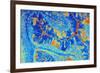 Cerebellum Tissue, Light Micrograph-PASIEKA-Framed Photographic Print