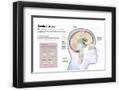 Chelsea Black
