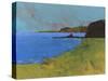 Ceredigion Cliffs-Paul Bailey-Stretched Canvas