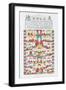 Ceremonial Court of the 10,000 Gods of the Universe, C.1980-null-Framed Premium Giclee Print