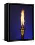 Ceremonial Olympic Style Torch-null-Framed Stretched Canvas