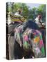 Ceremonial Painted Elephant at Amber Fort Near Jaipur, Rajasthan, India, Asia-Gavin Hellier-Stretched Canvas