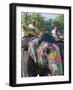 Ceremonial Painted Elephant at Amber Fort Near Jaipur, Rajasthan, India, Asia-Gavin Hellier-Framed Photographic Print