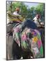 Ceremonial Painted Elephant at Amber Fort Near Jaipur, Rajasthan, India, Asia-Gavin Hellier-Mounted Photographic Print