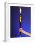 Ceremonial Torch-Paul Sutton-Framed Photographic Print