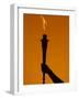 Ceremonial Torch-Paul Sutton-Framed Photographic Print