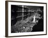 Ceremony at London Cenotaph-null-Framed Photographic Print