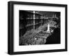 Ceremony at London Cenotaph-null-Framed Photographic Print