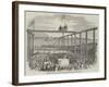 Ceremony of Laying the First Stone of the Birkenhead Docks-null-Framed Giclee Print