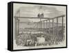 Ceremony of Laying the First Stone of the Birkenhead Docks-null-Framed Stretched Canvas