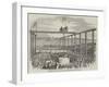Ceremony of Laying the First Stone of the Birkenhead Docks-null-Framed Giclee Print