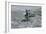 Ceremony of the Fastest Horse, C.1900-Frederic Remington-Framed Giclee Print