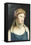 Cerere (Ceres)-Battista Dossi-Framed Stretched Canvas