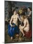 Ceres with Two Nymphs, 1615-7-Peter Paul and Snyders, Frans Rubens-Mounted Giclee Print