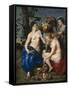 Ceres with Two Nymphs, 1615-7-Peter Paul and Snyders, Frans Rubens-Framed Stretched Canvas