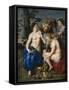 Ceres with Two Nymphs, 1615-7-Peter Paul and Snyders, Frans Rubens-Framed Stretched Canvas