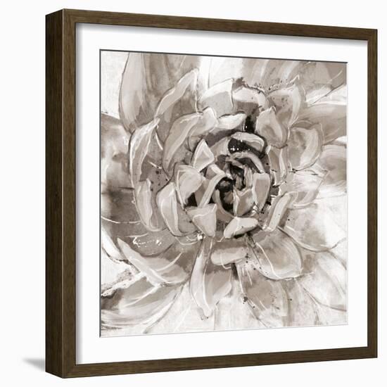 Cereus Aeonium - Fawn-Tania Bello-Framed Giclee Print